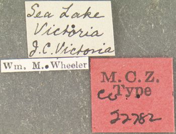 Media type: image; Entomology 22782   Aspect: labels